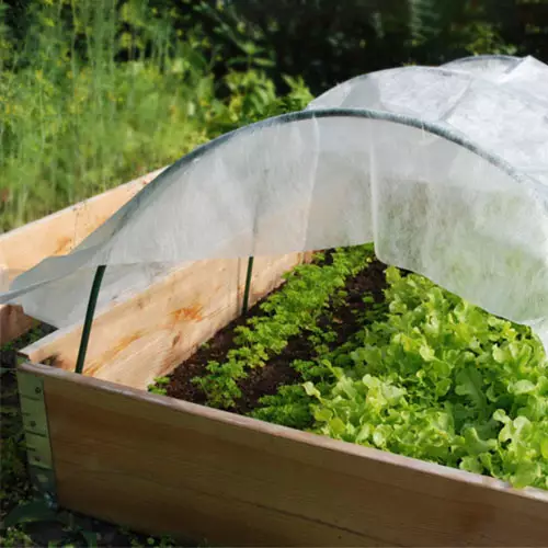 Kasvitunnelin kaari lavakaulus 8mm 75x55cm - Kasvihuoneet ja viljelylaatikot - 6430040627396 - 1