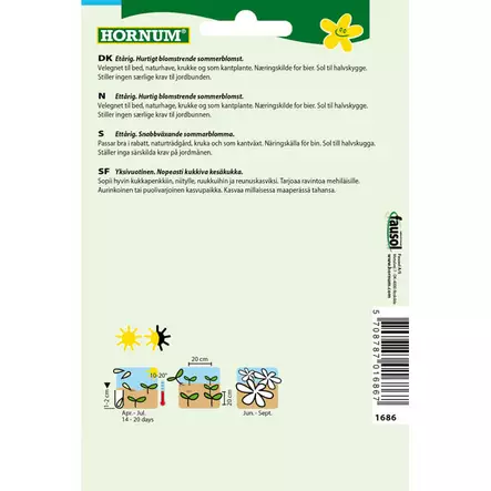 kesäkukka annossiemen hornum kellohunajakukka - Siemenet - 5708787016867 - 2