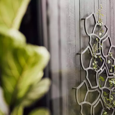 Musta köynnöskehikko seinälle tessa flower - Pensaskehikot ja kasvituet - 5400541025367 - 2