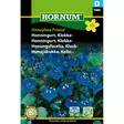hornum kellohunajakukka - Siemenet - 5708787016867 - 1