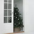Joulukuusi grande - Joulukuuset - 6410416378237 - 2