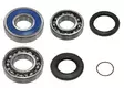 Ketjukotelon laakerisarja Yamaha - Moottorikelkan ketjukotelon osat - 6438235183917 - 2