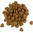 Kissan kuivaruoka leikatuille kissoille bilanx - Kissan kuivaruoka - 5700551211867 - 2