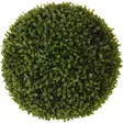 puksipuu 30 cm viherpallo - Tekokasvit ja tekokukat - 8719202648997 - 1