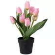 Vaaleanpunaiset tulppaanit - Tekokasvit ja tekokukat - 8721037312837 - 2