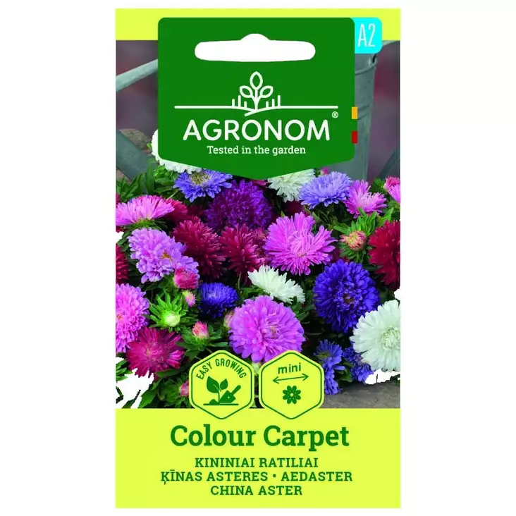 Asteri colour carpet - Siemenet - 4770168228887 - 1
