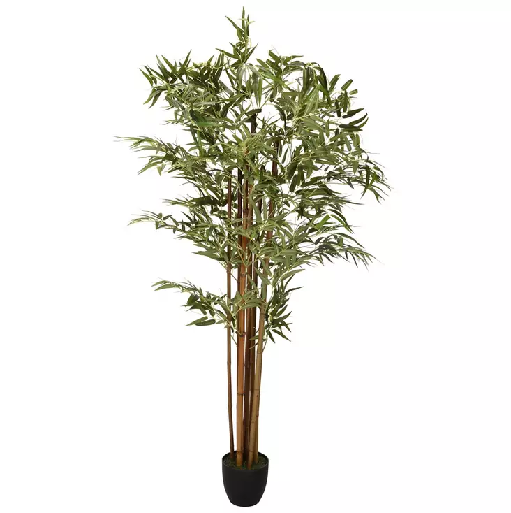 Koristekasvi bambu korkea - Tekokasvit ja tekokukat - 8719202963847 - 1