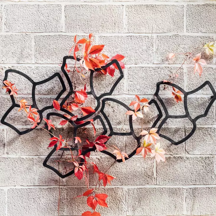 Tessa flower tukiköynnöskehikko kasveille musta 3 kpl - Pensaskehikot ja kasvituet - 5400541025367 - 1