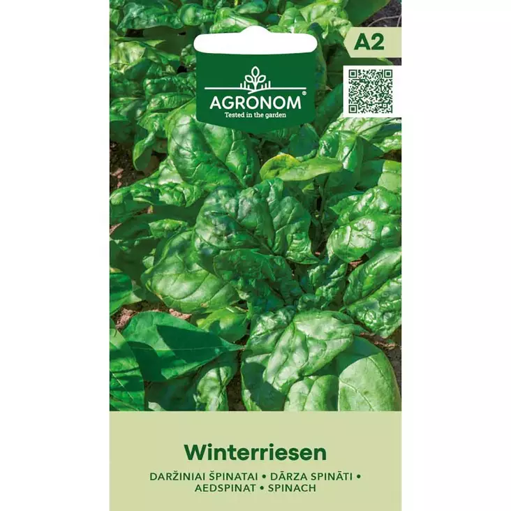 Pinaatti winterriesen kasvatus avomaalla - Siemenet - 4770168925427 - 1