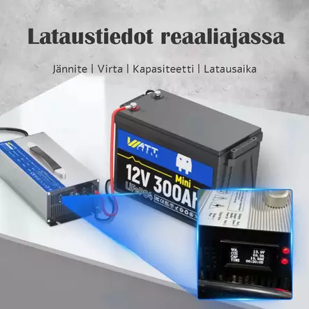 60a laturi isolle lifepo4 akulle - LiFePO4-akun laturit ja DC–DC-muuntimet - 6438471350838 - 2