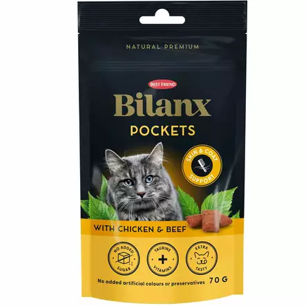 Bilanx pockets skin and coat kissanherkut - Kissan kuivaruoka - 5700551220708 - 1