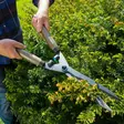 Puiset kahvat pensassaksissa - Puutarhasakset ja pensassakset - 4078500049078 - 3