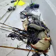 Apajan yleisverkko kalastukseen - - - 2