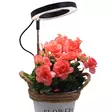 Led energie horti rengasmainen kasvivalo teleskooppivarrella - E27 lamput - 6418536037508 - 2