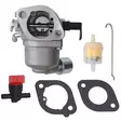 Kaasutin intek 40n777 korvaa oem 594207 ja 593197 - Ruohonleikkurin kaasuttimet, polttoaine - 6438471344738 - 1