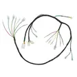 Honda monkey z50 87 johtosarja - Monkeyn moottorin varaosat - 6438235104998 - 1