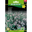 hornum timjami di roma mausteyrtti - Siemenet - 5708787011268 - 1
