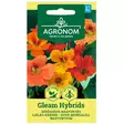 Krassi gleam hybrids - Siemenet - 4770168241268 - 1