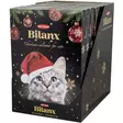 Best friend bilanx kissan joulukalenteri 80 g pakkauksessa - Kissan lelut ja virikkeet - 5700551220678 - 1