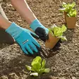 Puutarhahanskat lähikuvassa gardena istutustöissä puutarhassa -  -  - 3