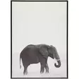 eläintaulu 50x70cm elefantti - Kehykset ja taulut - 6410416071268 - 1