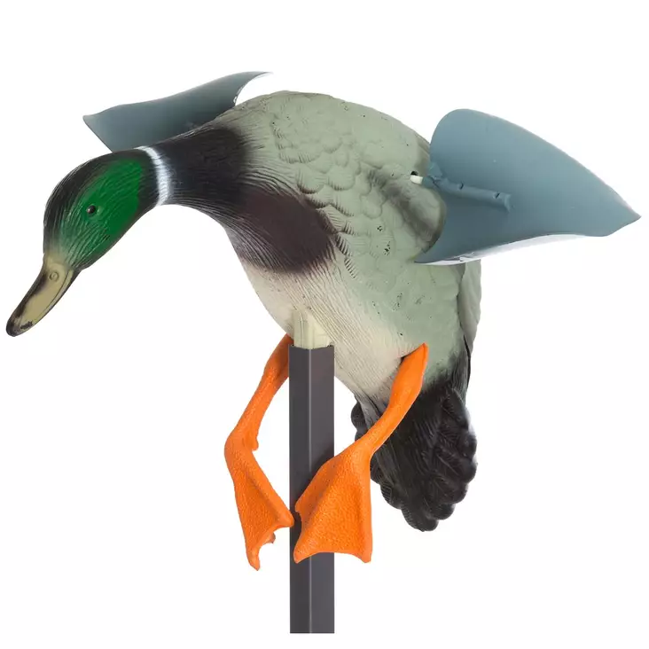 houkutuskuva sorsa - Metsästyshoukuttimet ja loukut - 6410416305448 - 1