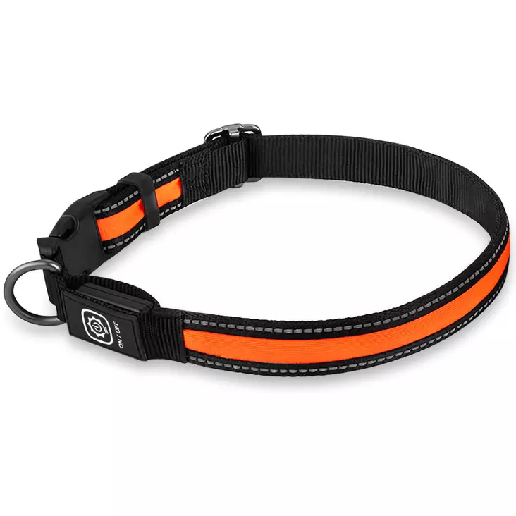 Led valopanta koiralle - Pannat, valjaat ja taluttimet - 6418536028988 - 1