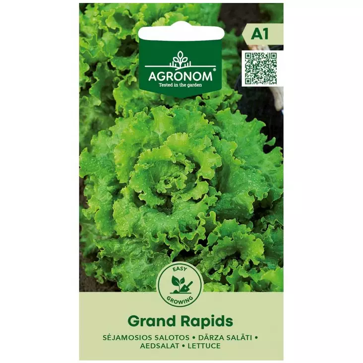Salaatti grand rapids - Siemenet - 4770168142268 - 1
