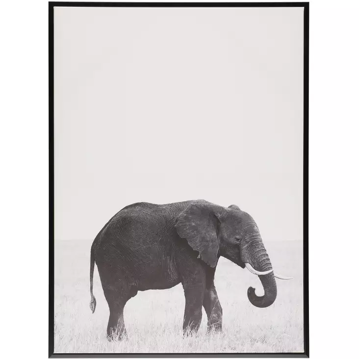 eläintaulu 50x70cm elefantti - Kehykset ja taulut - 6410416071268 - 1