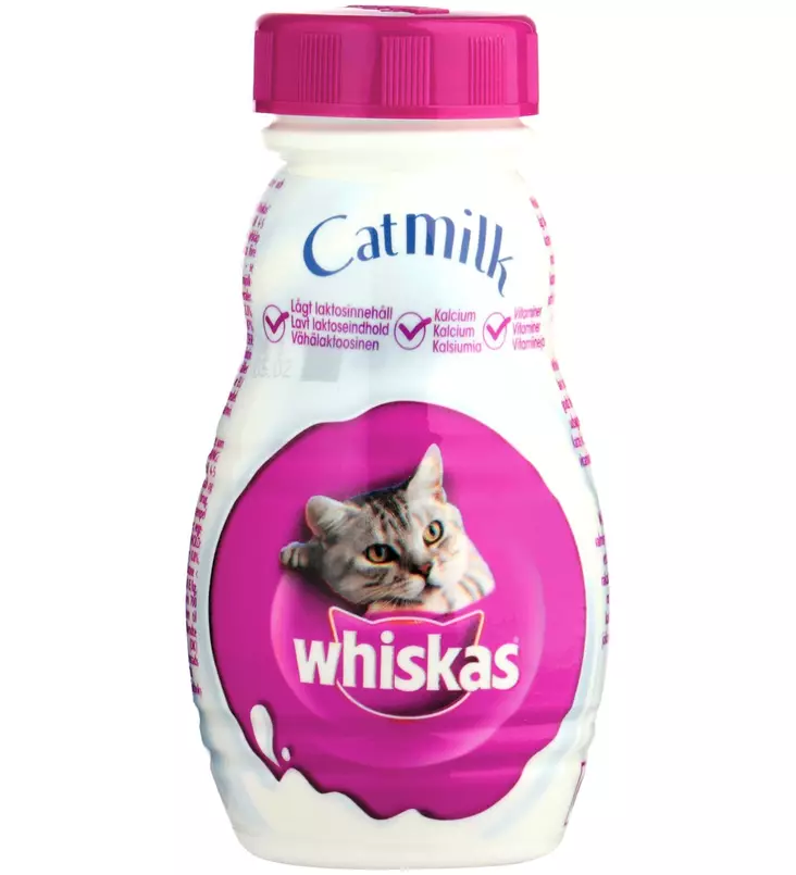 kissanmaito catmilk - Kissan märkäruoka - 5010394984638 - 2