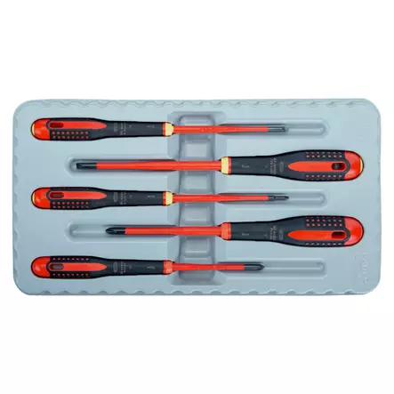 ruuvitalttasarja bahco 5-osainen - Ruuvimeisselit - 7314150304899 - 1