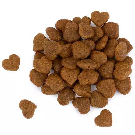 Kissanruoka 700 g bilanx lohi - Kissanruoka - 5700551211829 - 2