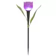 Valotulppaani - Aurinkokennovalaisimet - 6410416231709 - 1
