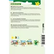 lehtisalaatin siemen, runsassatoinen - Siemenet - 5708787013149 - 2