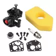 Briggs stratton 795477 - Ruohonleikkurin kaasuttimet, polttoaine - 6438471306309 - 1