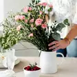 Mehukannu 1l vesikannu koti - Mukit, lasit, lautaset ja muut astiat - 6416550694219 - 3