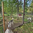 Koira aitauksen verkko - Aitaverkot ja koiraverkot - 6438168106779 - 2