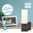 Nedis ulkokamera valolla toimii amazon alexa ja google home kautta - Valvontakamerat - 5412810414109 - 3