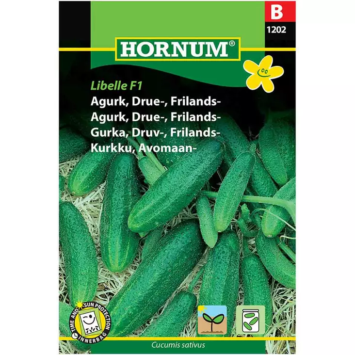 Hornum avomaankurkku conny siemenpussi - Siemenet - 5708787012029 - 1