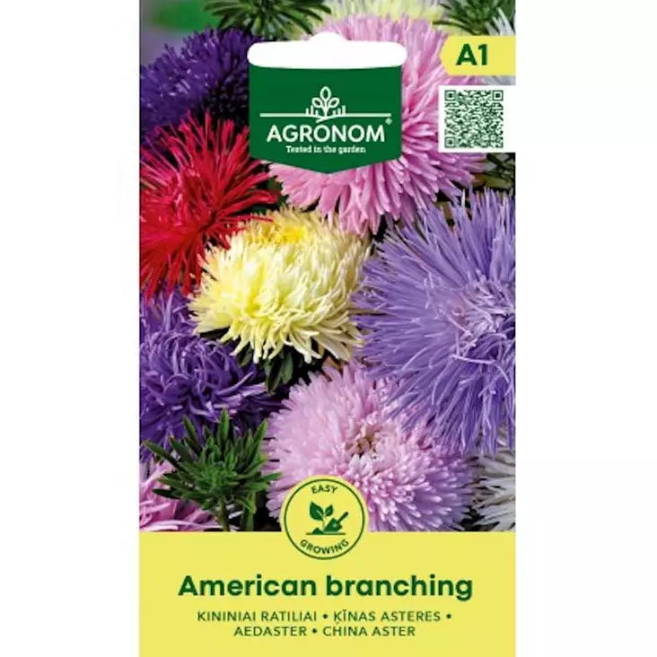 Kiinan asteri american branching suurikukkaisena kesäkukkana - Siemenet - 4770168228849 - 1