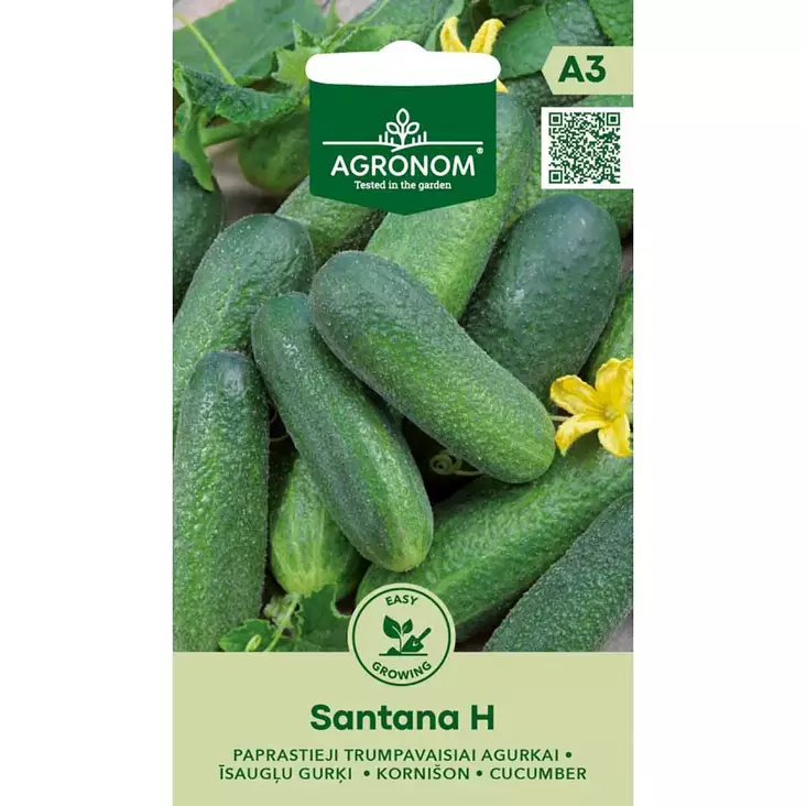 Santana h kurkku kasvihuoneviljelyyn ja avomaalle - Siemenet - 4770168917989 - 1