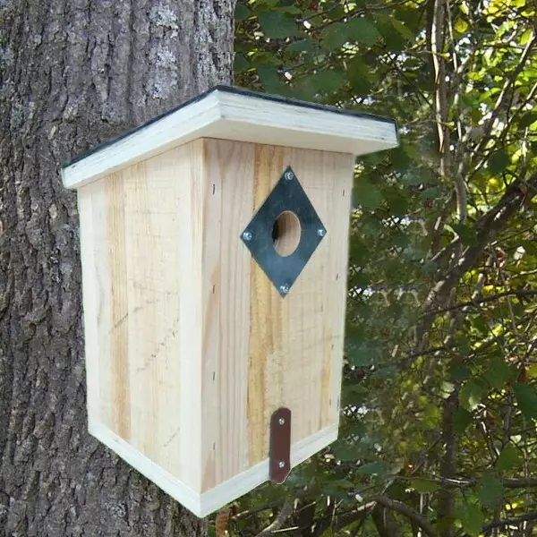 linnunpönttö puinen - Lintulaudat, pöntöt ja hyönteishotellit - 6438168096599 - 2