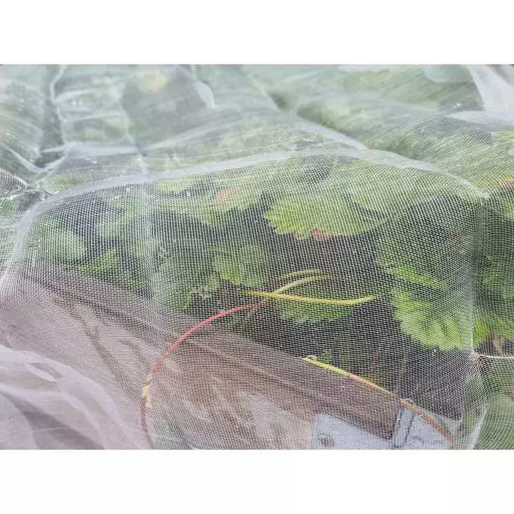 Tuholaisverkko kasvimaalle - Kateharsot - 6430068433009 - 1