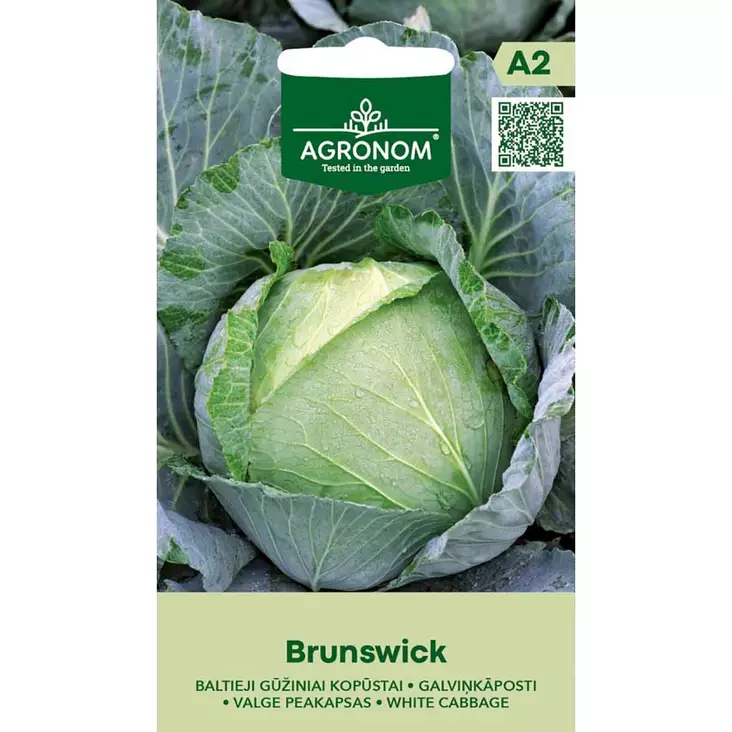 Valkokaali brunswick kasvatus avomaalla - Siemenet - 4770168919839 - 1