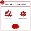 Moottorisaha puiden karsimiseen - Moottorisahat - 4046664221616-r - 6